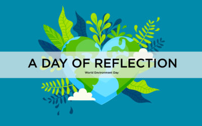 A Day of Reflection